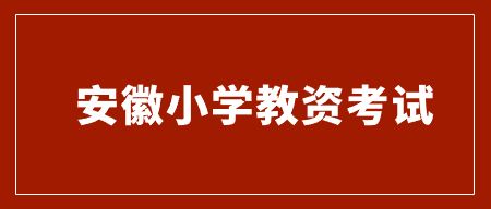 安徽小學教資考試